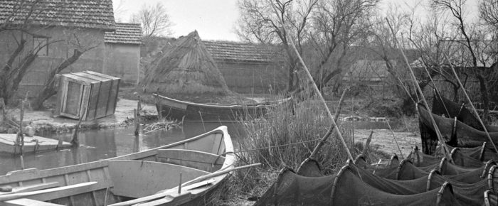 Recensement et Valorisation des collections sur la pêche : lancement d’une enquête