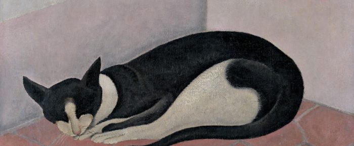 Un chat noir et blanc pour le château-musée Grimaldi de Cagnes-sur-Mer ! Un chat noir et blanc pour le château-musée Grimaldi de Cagnes-sur-Mer !