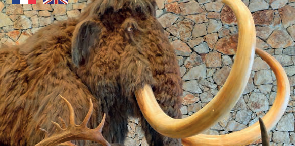 Musée de Préhistoire des gorges du Verdon